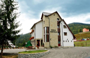 Гостиница Pensiunea Vraja Muntelui, Ариешени